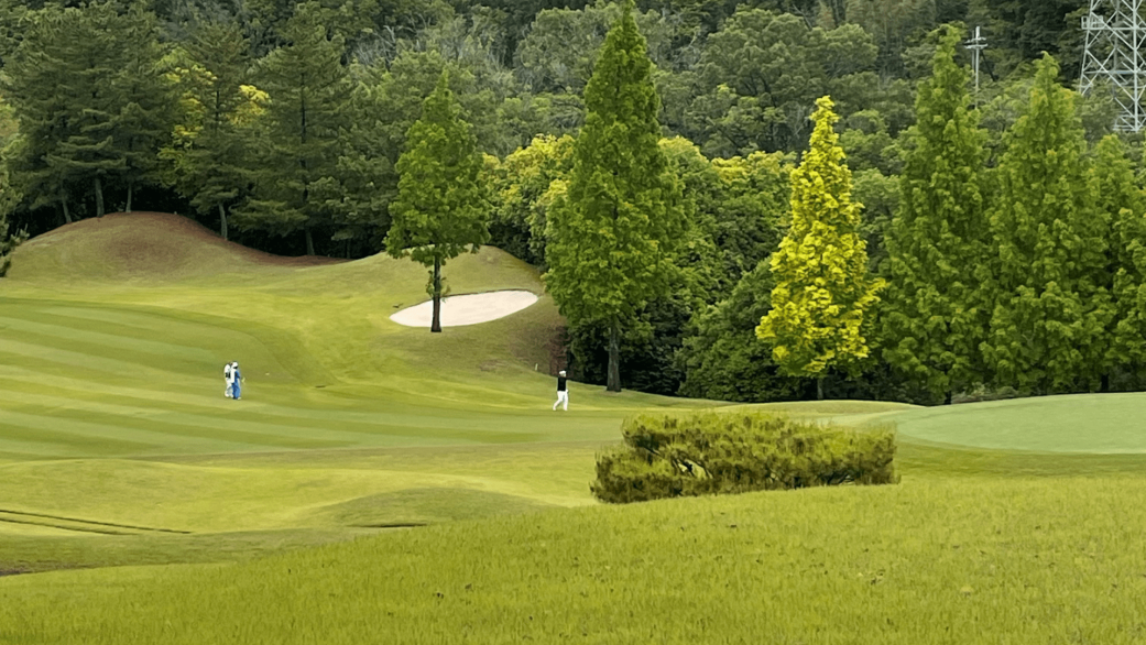 2024サテライト大会（シュテルン天王寺）の画像